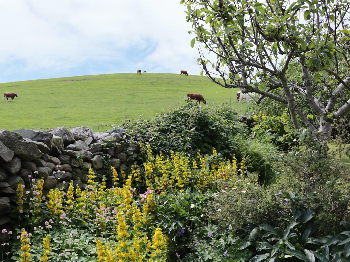 Waingate Cottage Cark Bagian luar foto